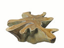 Star Nature Wood Color Organic Teak Root Coffee Table or Accent Table 58