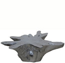 Silver Star Organic Teak Root  Coffee Table 66
