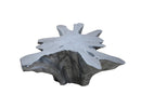 Silver Star Organic Teak Root  Coffee Table 66