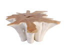 Z-Organic Teak Root Coffee Table with Two Tones 70