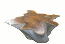 Organic Teak Root Coffee Table with Two Tones 77