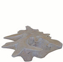 Organic Natural Wood with White Wash Teak Root  Coffee Table 80