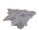 Organic Natural Wood with White Wash Teak Root  Coffee Table 80