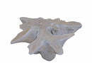 Organic Natural Wood with White Wash Teak Root  Coffee Table 80