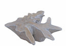 Organic Natural Wood with White Wash Teak Root  Coffee Table 80