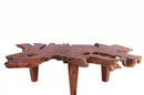 One Slab Organic Coffee Table 95