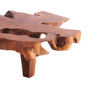 One Slab Organic Coffee Table 95