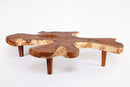 83" Long Free Form One Slab Living Edge Coffee Table 11