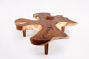 83" Long Free Form One Slab Living Edge Coffee Table 11