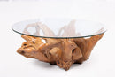 Round Organic Sculptured Teak Root Based Coffee Table 12