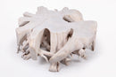 Z-Round  White Teak Root Coffee Table 14