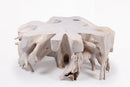 Z-Round  White Teak Root Coffee Table 14