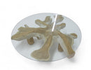 Z-Organic Teak Root Coffee Table 35