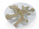 Z-Organic Teak Root Coffee Table 35