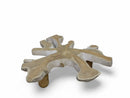 Z-Organic Teak Root Coffee Table 35
