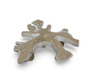 Z-Organic Teak Root Coffee Table 35