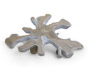 Z-Organic Teak Root Coffee Table 35