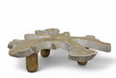 Z-Organic Teak Root Coffee Table 35