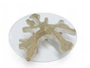 Z-Organic Teak Root Coffee Table 35