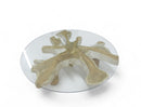 Z-Organic Teak Root Coffee Table 35