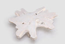 Z-White Organic Teak Root Coffee Table 37