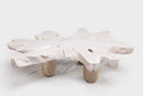 Z-White Organic Teak Root Coffee Table 37