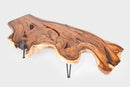One Slab Living Edge Coffee Table With Black Iron Legs 50