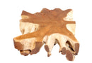 Square 36" Inch Organic Teak Root Coffee Table 52