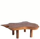Modern Brown One Slab Living Edge Coffee Table 59