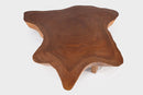 Modern Brown One Slab Living Edge Coffee Table 59