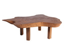 Modern Brown One Slab Living Edge Coffee Table 59