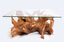 Rectangular Organic Sculptured Teak Root Based Coffee Table 6
