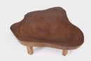 Modern Brown One Slab Living Edge Coffee Table 60