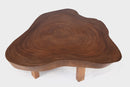 Modern Brown One Slab Living Edge Coffee Table 60