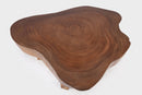Modern Brown One Slab Living Edge Coffee Table 60