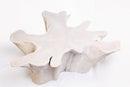Organic Teak Root Coffee Table 66-White Wash