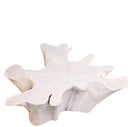 Organic Teak Root Coffee Table 66-White Wash