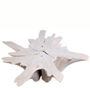 Z-Organic Teak Root Coffee Table 69-White Wash