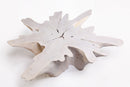 Z-Organic Teak Root Coffee Table 69-White Wash