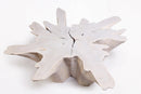 Z-Organic Teak Root Coffee Table 69-White Wash