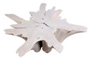 Z-Organic Teak Root Coffee Table 69-White Wash