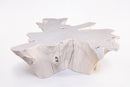 Organic Teak Root Coffee Table 70-White Wash