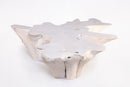 Organic Teak Root Coffee Table 70-White Wash