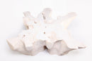 Organic Teak Root Coffee Table 74-White Wash