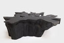Black Burnt Organic Teak Root  Coffee Table 75
