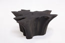 Black Burnt Organic Teak Root  Coffee Table 77
