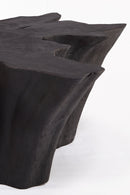 Black Burnt Organic Teak Root  Coffee Table 77