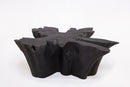 Z-Black Burnt Organic Teak Root  Coffee Table 83