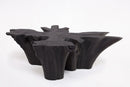 Z-Black Burnt Organic Teak Root  Coffee Table 83