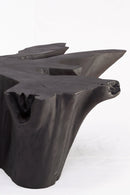 Z-Black Burnt Organic Teak Root  Coffee Table 83